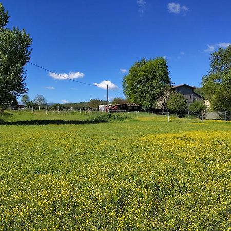 RezzanoLa Baia Dei Lupi住宿加早餐旅馆 外观 照片