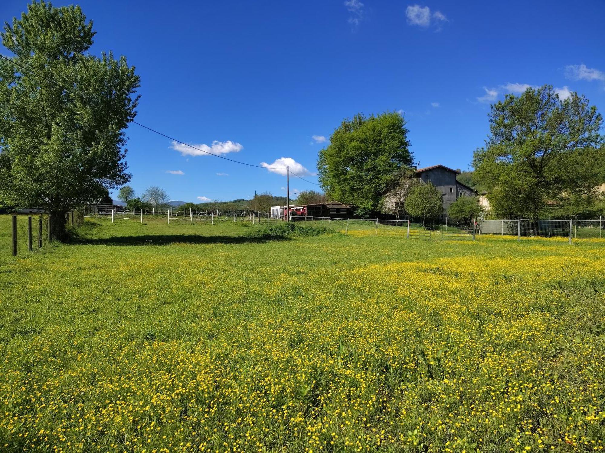 RezzanoLa Baia Dei Lupi住宿加早餐旅馆 外观 照片