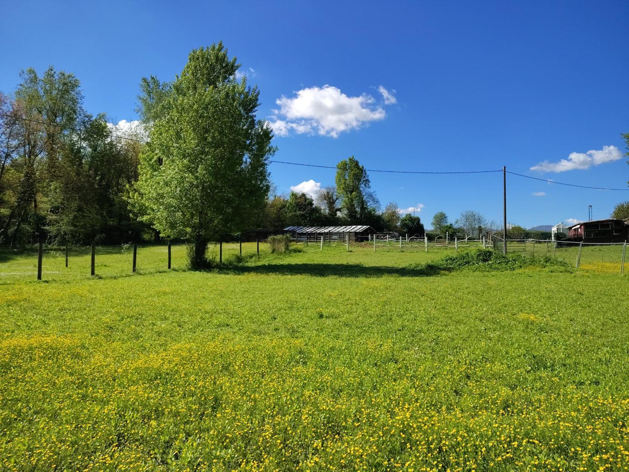 RezzanoLa Baia Dei Lupi住宿加早餐旅馆 外观 照片